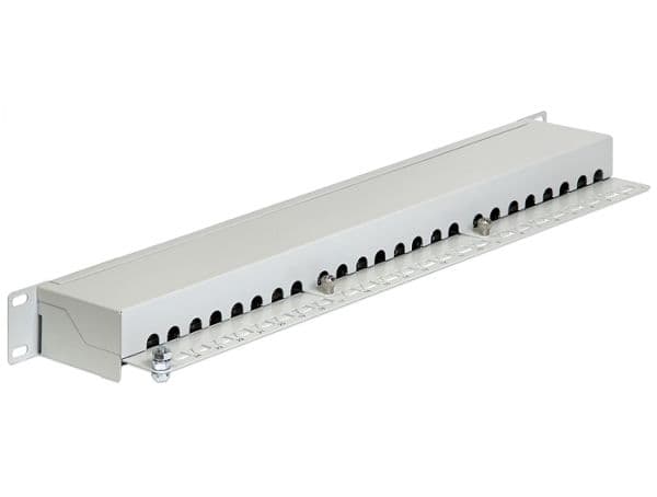 Delock - Patch-panel - CAT 6 - RJ-45 X 24 - ljusgrå - 1U - 19"