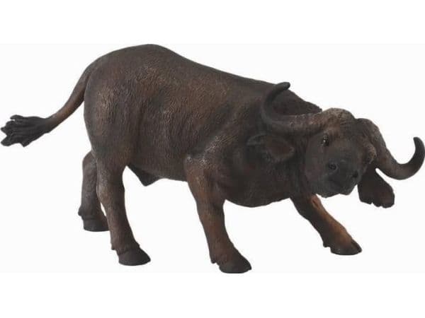 AFRICAN BUFFALO (L)