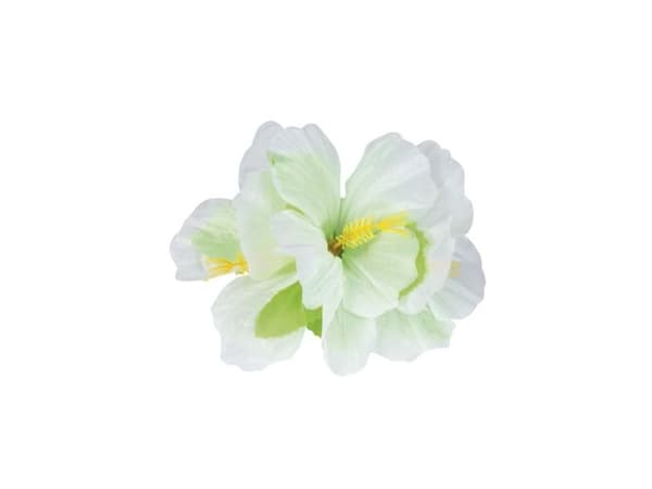 Hårblomst med klemme