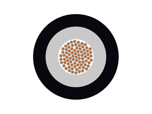 Lapp 85165021/500