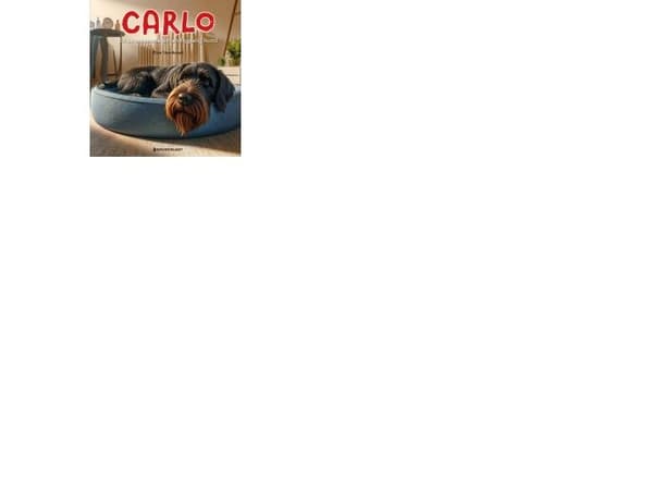Carlo | Elise Stendervad