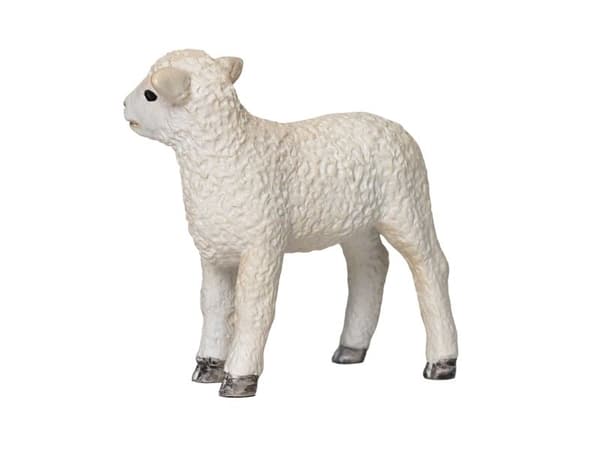 Mojo Romney Lamb Standing