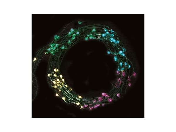 LED-valoketju 100 multi