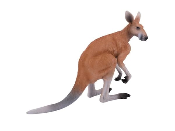 Mojo kenguru
