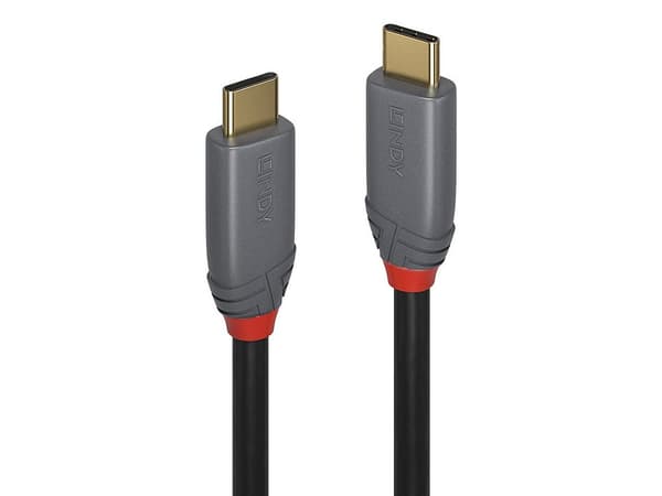 Lindy 36908, Hanstik