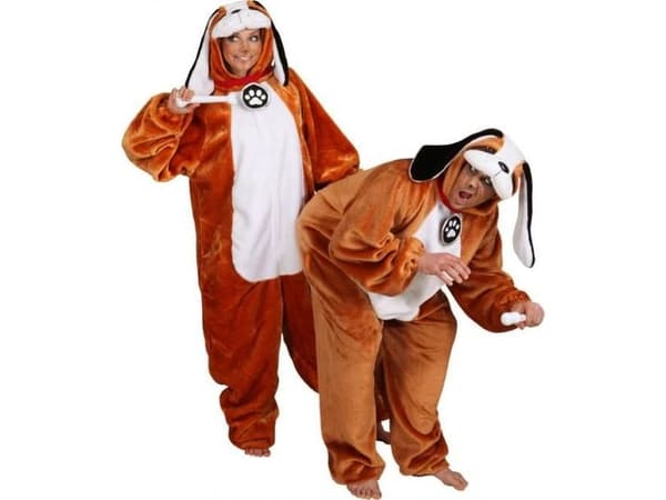 Sanktbernhard hundekostume