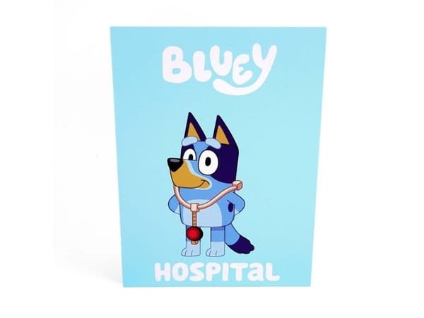 Bluey Rolebook Hospital
