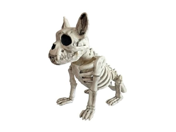 Siddende skelet hund, 28 cm
