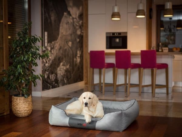 Hobbydog L COMFORT harmaa