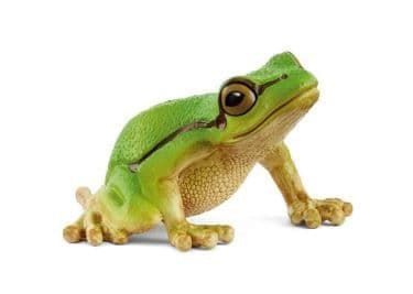 Schleich europeisk trefrosk