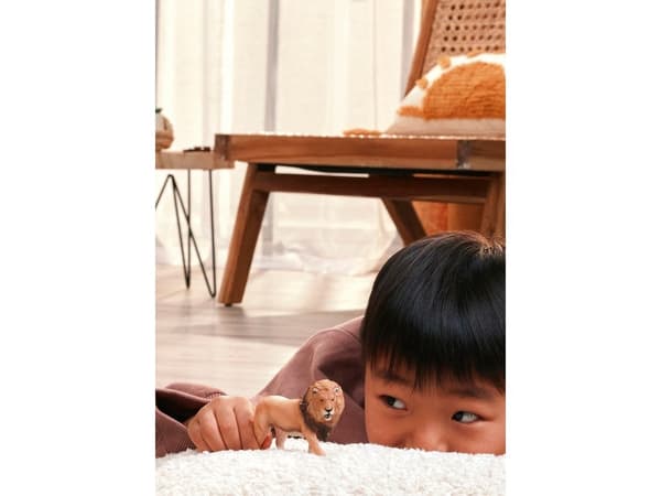 schleich Lion