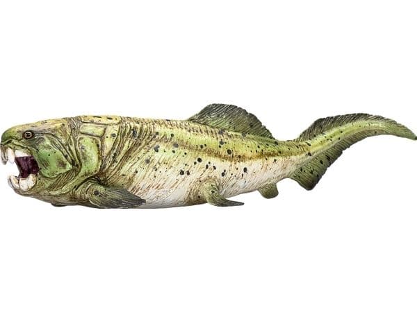 Mojo Dunkelosteus