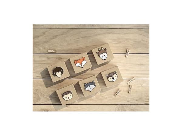 Woodland presentaskar, 6 st