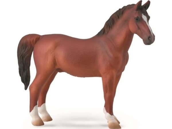 Collecta HACKNEY hingst KESTNUT