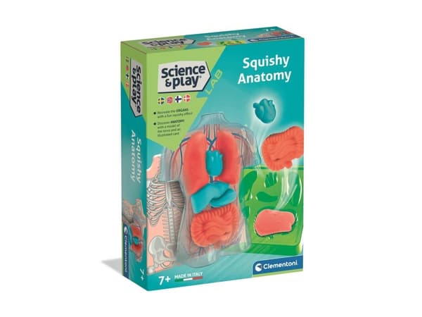 Mini Squishy-organer