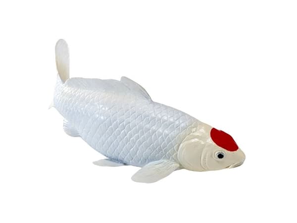 Koi Carp - Tancho Koi (red dot)