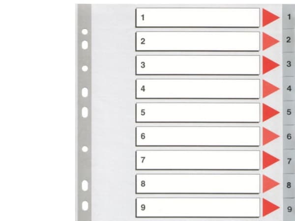 Esselte index A4 1-12 plast grå (set)