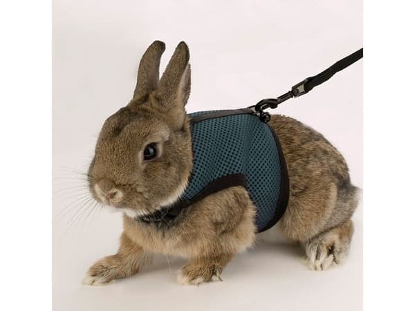 Ferplast hundsele Jogging Medium