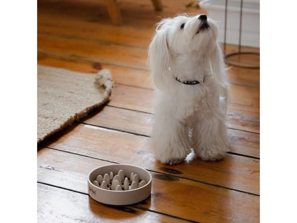Dingo bambusskål til hund, 1430 ml 22 cm
