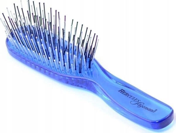 Hercules Sgemann Scalp Brush Junior Blue