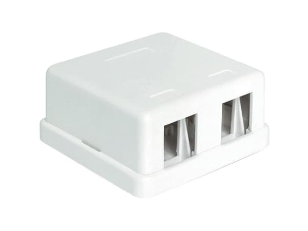 Delock Keystone Surface Mounted Box - Chassi med modulär insättning - vit - 2 portar