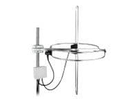 Maximum - Antenne - radio - 2 dBi - utendørs