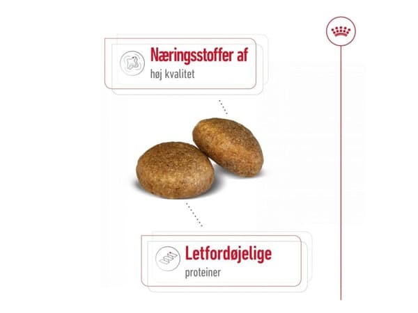Royal Canin Maxi Adult tørfoder til hund - 10 kg