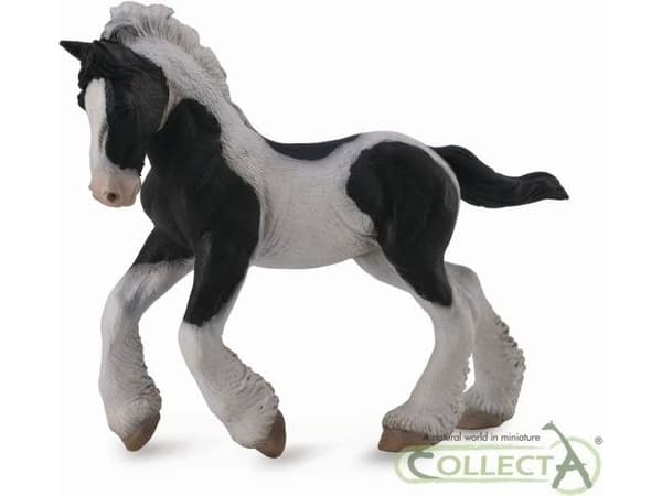 Tinker Horse - SROKHATA FOAL (M)