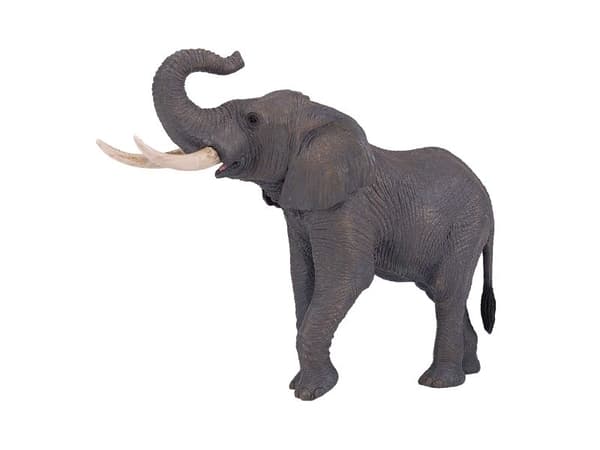 Mojo afrikansk tjur-elefant