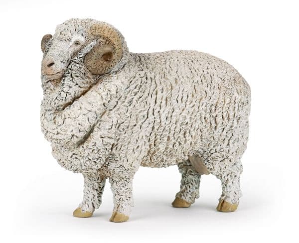 PAPO Aries Merino