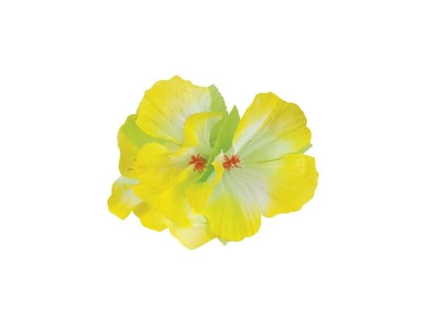 Hårblomma med klämma (Hawaii)