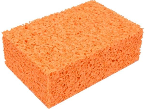 VOREL 04546 fugesvamp