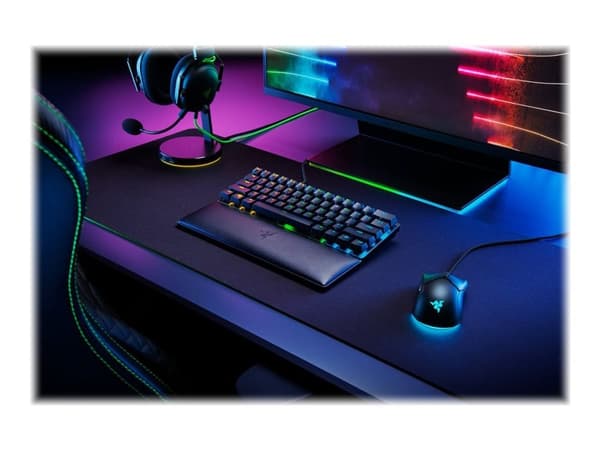 Razer Standard Edition - Håndleddsstøtte - mini