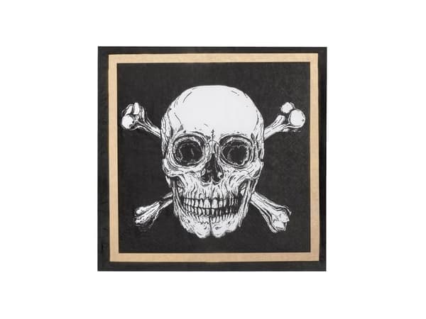 Pirat servietter 33x33 cm