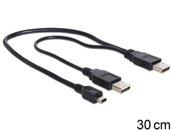 Delock - USB-kabel - USB (hane) till USB, mini-USB typ A (hane) - 30 cm