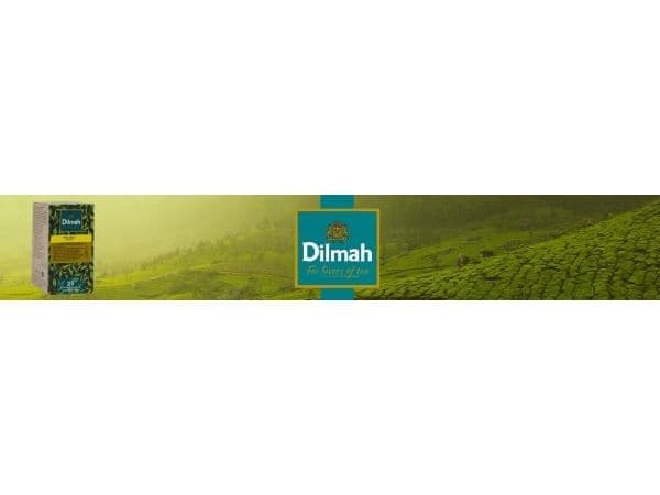 Actis te Dilmah Green Tea 25 stk