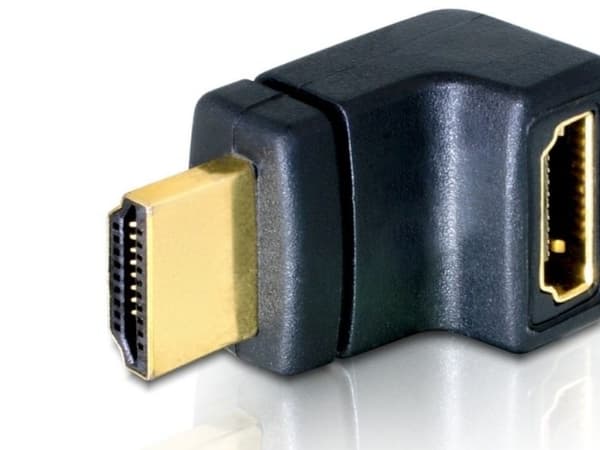 DeLOCK - HDMI-sovitin - HDMI (han) til HDMI (hun)