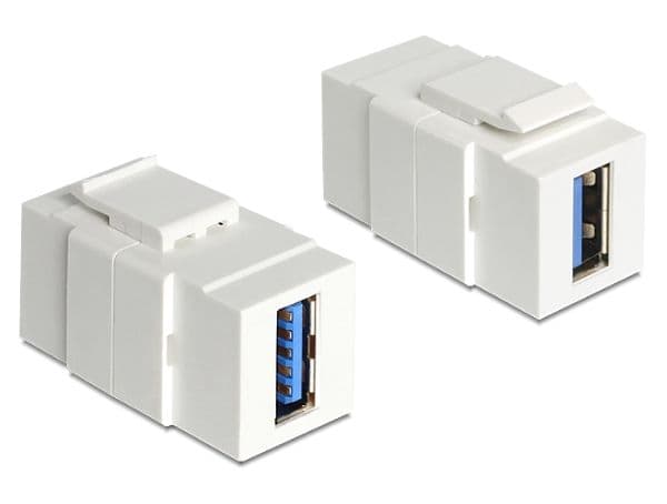 Delock - Modulär insats (koppling) - SuperSpeed USB