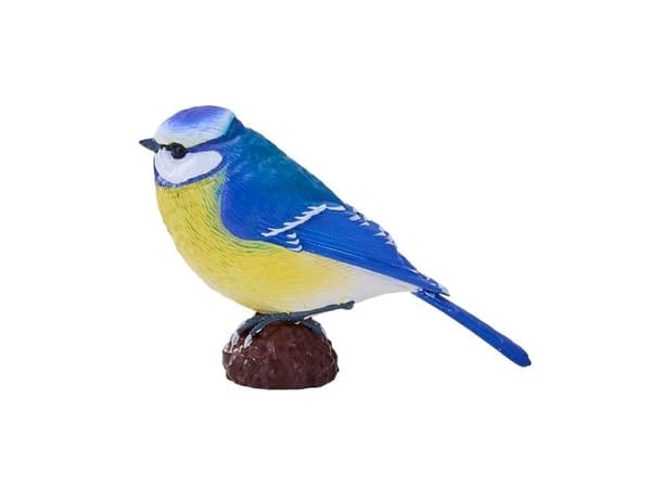 Blåmeis