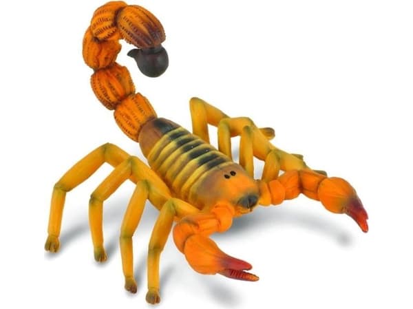 SCORPION (M)