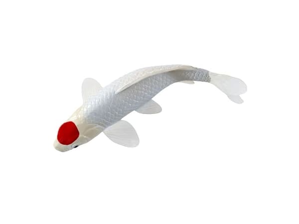 Koi Carp - Tancho Koi (red dot)