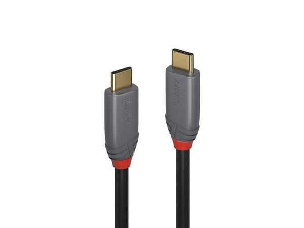 Lindy 36904, Hanstik