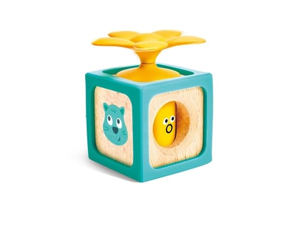Hape Delightful Discovery Blocks