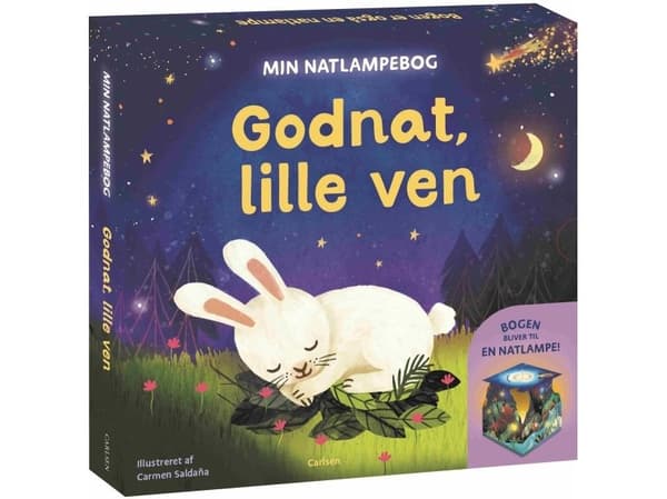 Min natlampebog