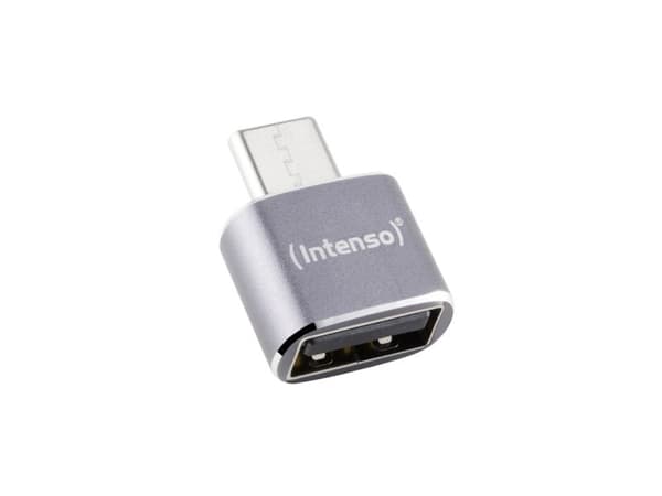 Intenso 7600113