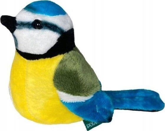 Dubi rukoilijasirkka 13cm