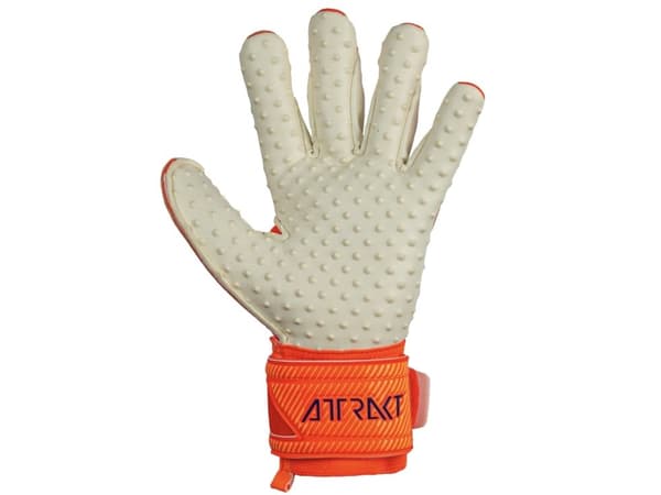 Reusch Attrakt SpeedBump
