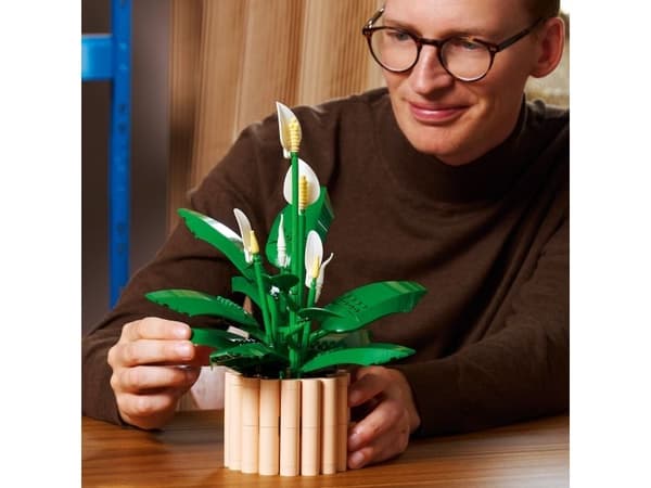 LEGO Botanicals 11504 Fredslilja