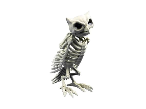 Pöllön luuranko