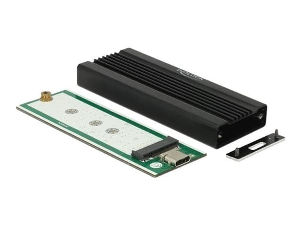 Delock - Lagringspakning - M.2 Kort - USB 3.1 (Gen 2) - sort